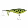 Berkley Fishing Choppo | 120 (1 Oz) | 120mm | 2 | Model #BHBCP120-MFF