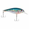 Berkley Flicker Shad Shallow | 1/6 Oz | 2in | 5cm | 8 | 2'-4' | 0.5m-1.2m | Model #FFSH5S-SLBA Fishing