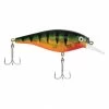 Berkley Flicker Shad Shallow | 1/6 Oz | 2in | 5cm | 8 | 2'-4' | 0.5m-1.2m | Model #FFSH5S-FLPR Fishing