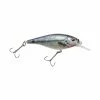 Top 10 🔥 Berkley Fishing Flicker Shad Shallow | 2/7 Oz | 2 3/4in | 7cm | 6 | 3'-6' | 1m-2m | Model #FFSH7S-HDSTS 🎁 2 Berkley Fishing Flicker Shad Shallow | 2/7 Oz | 2 3/4in | 7cm | 6 | 3'-6' | 1m-2m | Model #FFSH7S-HDSTS