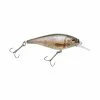 Budget 🛒 Berkley Fishing Flicker Shad Shallow | 2/7 Oz | 2 3/4in | 7cm | 6 | 3'-6' | 1m-2m | Model #FFSH7S-HDFHM 🤩 1 Berkley Fishing Flicker Shad Shallow | 2/7 Oz | 2 3/4in | 7cm | 6 | 3'-6' | 1m-2m | Model #FFSH7S-HDFHM