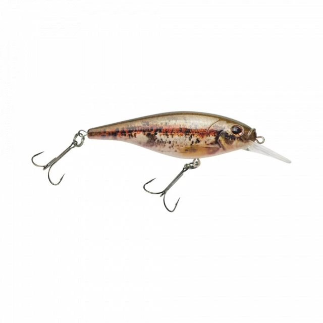 Cheapest 😉 Berkley Flicker Shad Shallow | 1/6 Oz | 2in | 5cm | 8 | 2'-4' | 0.5m-1.2m | Model #FFSH5S-HDBND Fishing ⭐ 3 Berkley Flicker Shad Shallow | 1/6 Oz | 2in | 5cm | 8 | 2'-4' | 0.5m-1.2m | Model #FFSH5S-HDBND Fishing