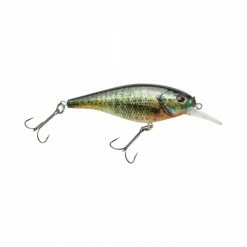 Berkley Fishing Flicker Shad Shallow | 1/6 Oz | 2in | 5cm | 8 | 2'-4' | 0.5m-1.2m | Model #FFSH5S-HDBLG