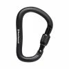Black Diamond Rocklock Screwgate Carabiner Backpacking Packs