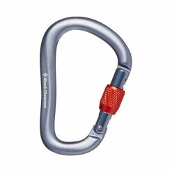 Black Diamond Rocklock Screwgate Carabiner Backpacking Packs