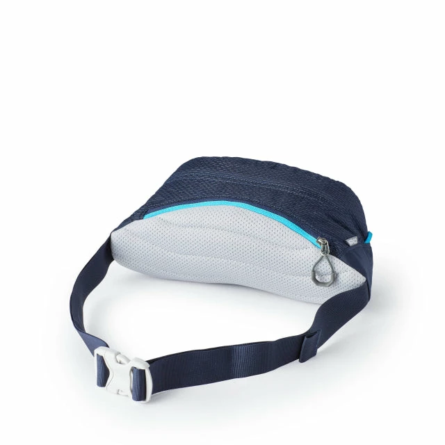 Deals ⭐ Gregory Nano Waistpack Day Packs 🥰 4 Gregory Nano Waistpack Day Packs