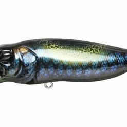 Fishing Megabass Popmax