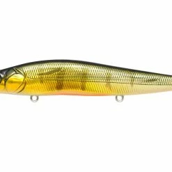 Fishing Megabass Vision Oneten