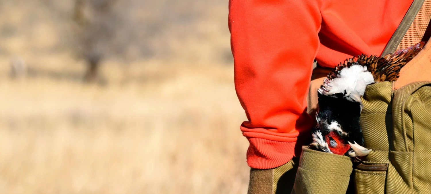 Fin & Feather Sales Store 4 Fin & Feather Sales Store -Fin & Feather Sales Store 2824