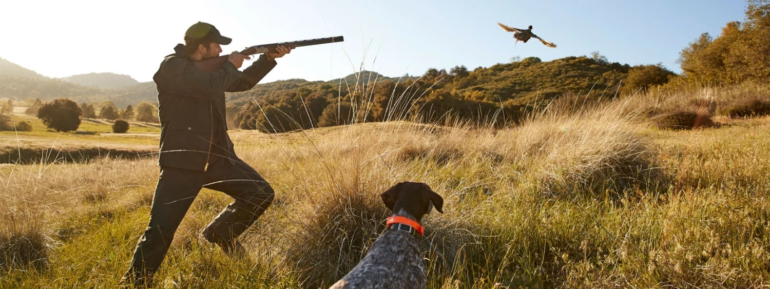 Fin & Feather Sales Store 2 Fin & Feather Sales Store -Fin & Feather Sales Store 2825